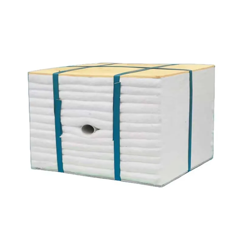 Ceramic Fiber Module (2)